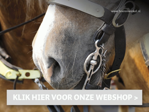 Nieuwe banners en links3
